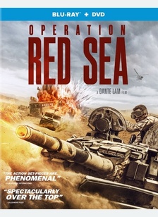 Operation Red Sea