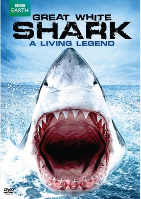 Great White Shark: A Living Legend