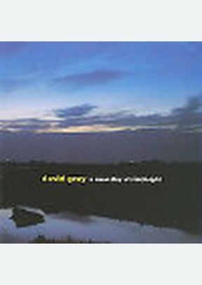 NEW DAY AT MIDNIGHT