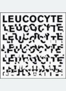 LEUCOCYTE