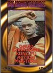 KUNG FU ACTION MASTERS
