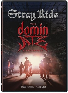 STRAY KIDS