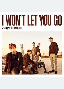 I WONT LET YOU GO (IMPORT)