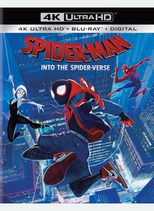 Spider-Man: Into the Spider-Verse