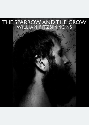 The Sparrow And The Crow