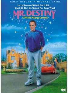 Mr. Destiny