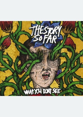 What You Don't See