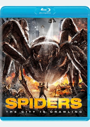 Spiders