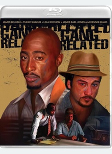GANG RELATED:SPEC ED (BR)