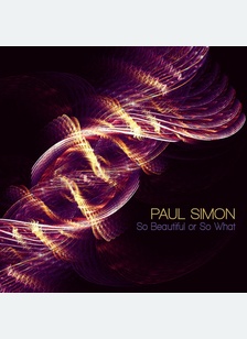 "So Beautiful Or So What"