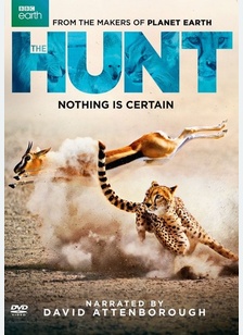 The Hunt