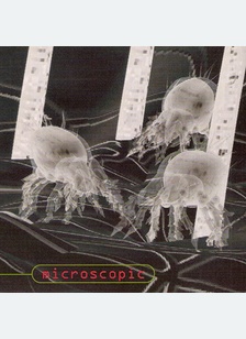 MICROSCOPIC