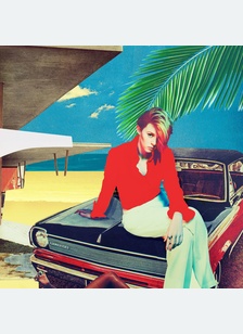 "Trouble In Paradise"
