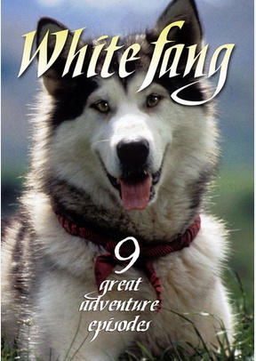 White Fang Volume 1