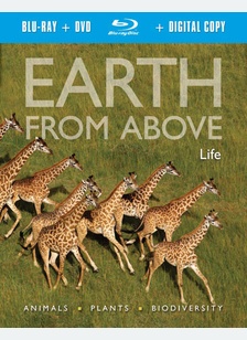 Earth From Above: Life