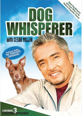 Dog Whisperer with Cesar Millan: Volume 1