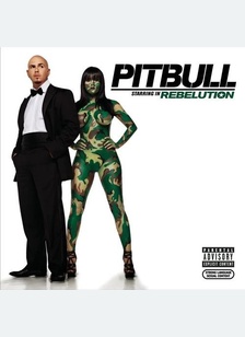 REBELUTION (OOP)