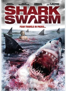 Shark Swarm