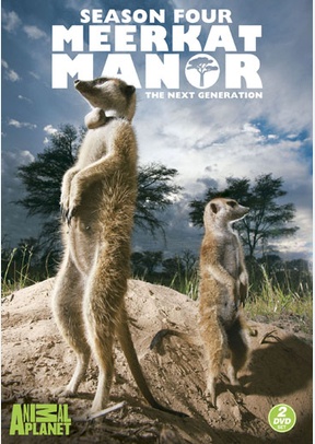 Meerkat Manor: Season 4
