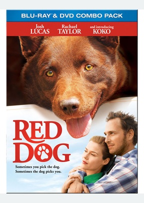 Red Dog