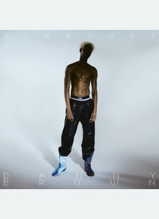 STARDUST (2LP)