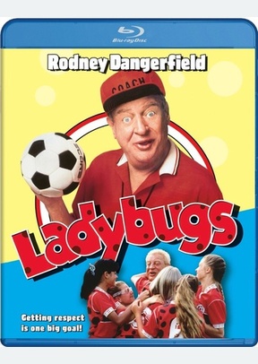 Ladybugs