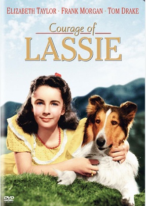 Courage of Lassie