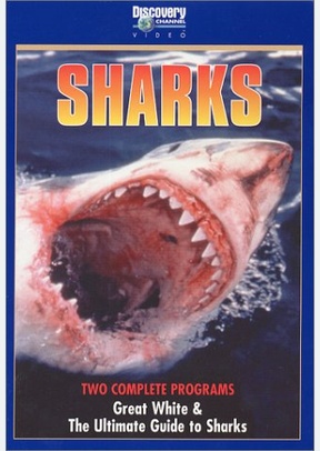 SHARKS