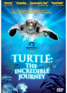 Turtle: The Incredible Journey