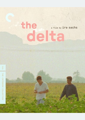 DELTA:CRITERION (BR)