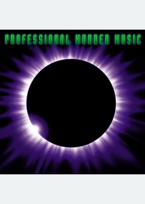 PROFESSIONAL MURDER MUSIC