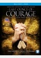 Last Ounce of Courage
