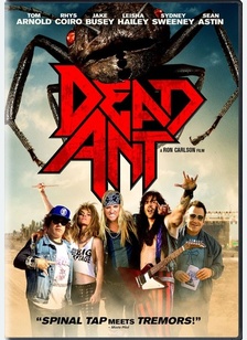 Dead Ant