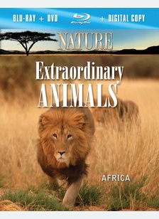 Nature: Extraordinary Animals Africa
