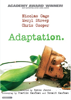 Adaptation