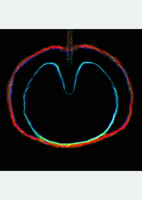WASP STAR (APPLE VENUS VOL. 2)