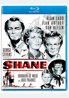 SHANE:SPEC ED (BR)