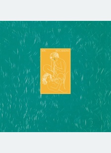 SKYLARKING (CD/BR) (IMPORT)