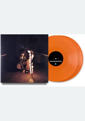 IE-REVENGESEEKERZ (2LP)