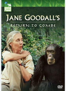 Jane Goodall's Return to Gombe