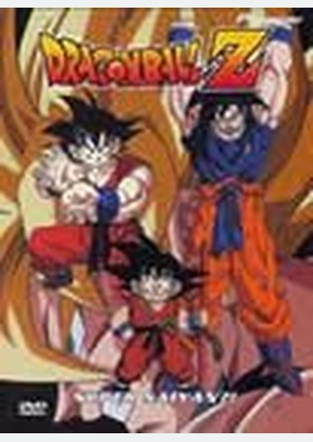 DBZ:V17