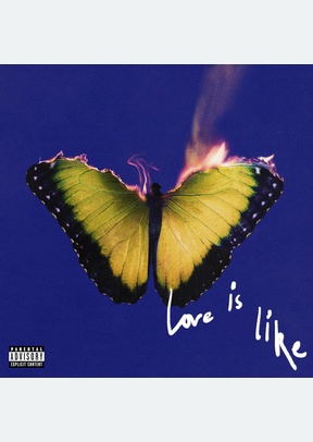 LOVE IS LIKE (LP)
