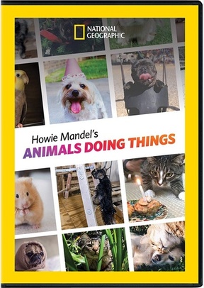 National Geographic: Howie Mandel's Animals Doing Things
