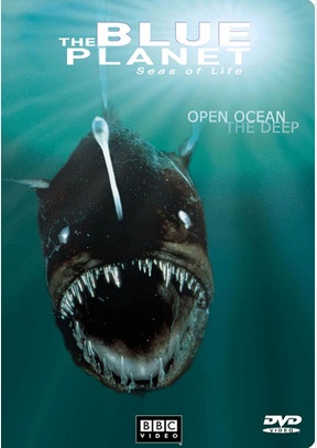 The Blue Planet, Seas of Life: Open Ocean The Deep