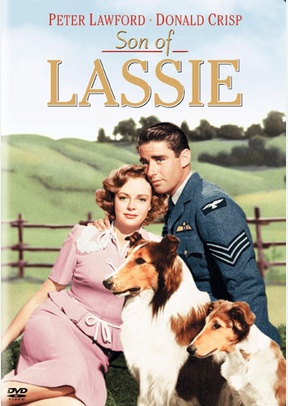Son Of Lassie