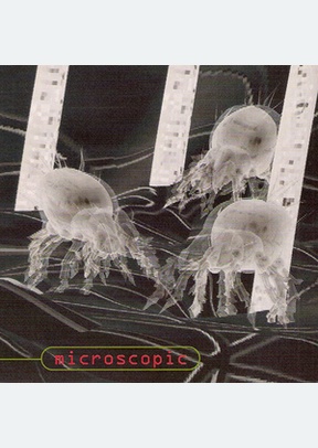 MICROSCOPIC