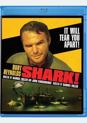 Shark!