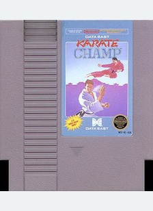 KARATE CHAMP