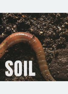 SOIL