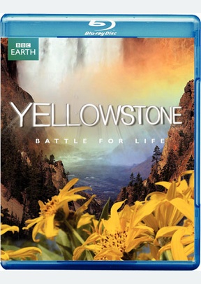 Yellowstone: Battle for Life